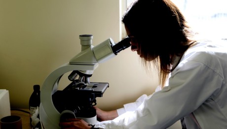 μικροσκόπιο