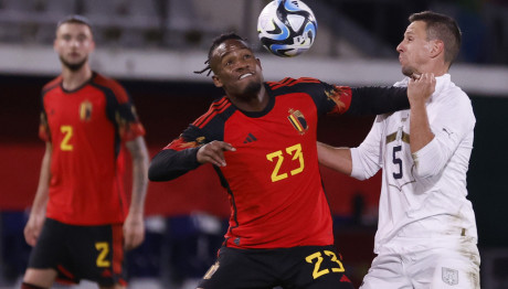 Μαξίμοβιτς