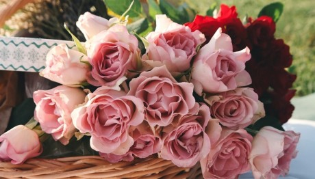 Εορτολόγιο