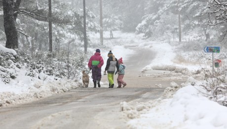 Κακοκαιρία Avgi: Φωτογραφίες Από Τα Χιόνια Στην Αττική