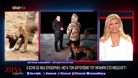 Μεσολόγγι: Ο Echo Που Εντόπισε Τον Μπάμπη Σε Νέα Επιχείρηση