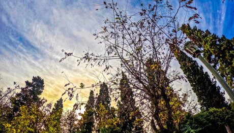 Καιρός: Ήρθαν Οι Αλκυονίδες