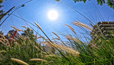 Καιρός: Ξεκίνησαν Οι Αλκυονίδες Μέρες