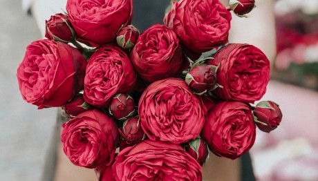 Εορτολόγιο