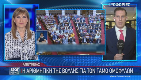 Γάμος ομόφυλων Βουλή