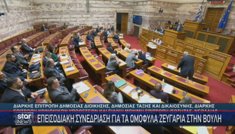 Βουλή για ομόφυλα ζευγάρια