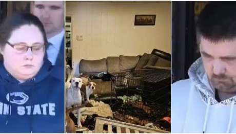 Κρατούσαν Κλειδωμένη Την 6χρονη Κόρη Τους Γυμνή Σε Κλουβί