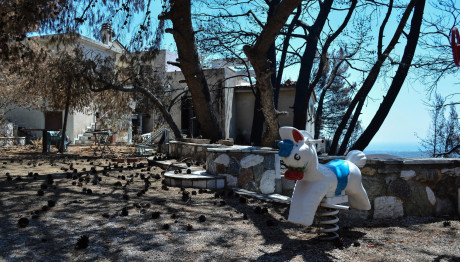 Μάτι: Καταπέλτης Ο Εισαγγελέας - Πρότεινε Την Ενοχή 4 Ατόμων