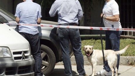 έρευνα με σκύλο για εκρηκτικό μηχανισμό