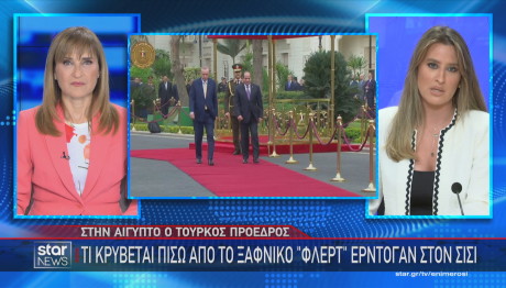 Ξαφνικό Φλερτ Ερντογάν - Αλ Σίσι