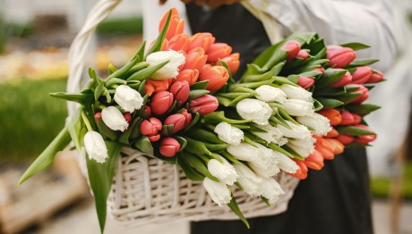 Εορτολόγιο