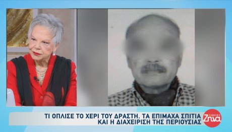 Γλυφάδα: Το Ψυχολογικό Προφίλ Του Δράστη