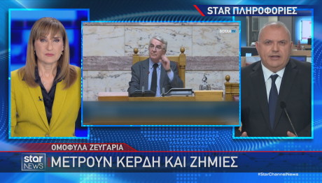 Ομόφυλα ζευγάρια κέρδη και ζημιές στα κόμματα