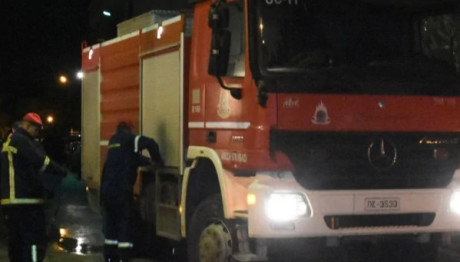 Νάξος: Φωτιά Στον Κυνίδαρο