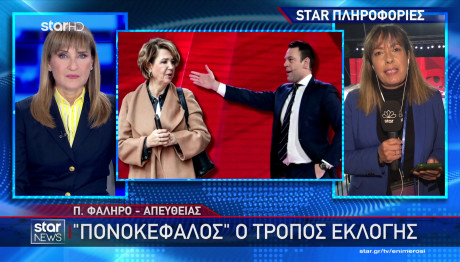 ΣΥΡΙΖΑ: Πότε Και Πώς Θα Γίνουν Οι Νέες Εκλογές