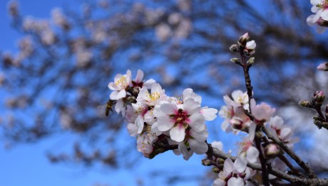 Καιρός: Σε ποιες περιοχές θα βρέξει - Πότε υποχωρούν τα φαινόμενα