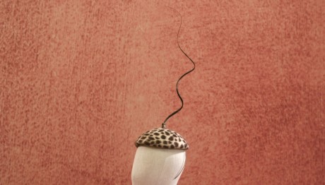 Cash or Trash Trailer 27/2/2024