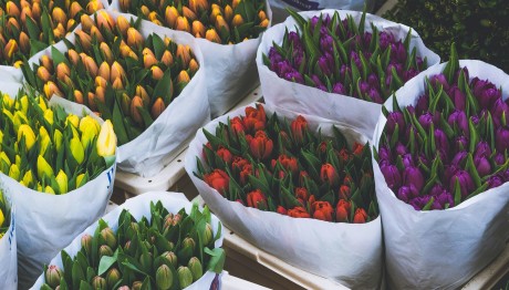 Εορτολόγιο