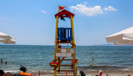 ΕΣΝΕ: Κατηγορίες Για Σύσταση Εγκληματικής Οργάνωσης