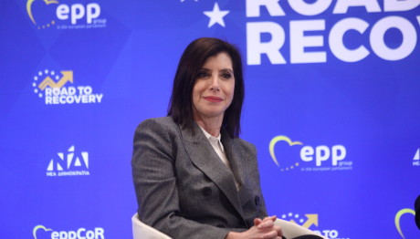 Υπόθεση Ασημακοπούλου: Αγωγή Κατά Του Ελληνικού Δημοσίου