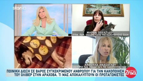 Αράχωβα: Ραγδαίες Εξελίξεις Στην Υπόθεση Του Όλιβερ