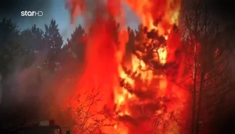 Φωτιές: Το Νέο Σχέδιο Για Την Αντιμετώπισή Τους