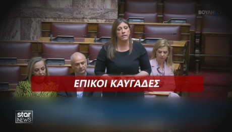 Βουλή Καβγάδες με Ζωή
