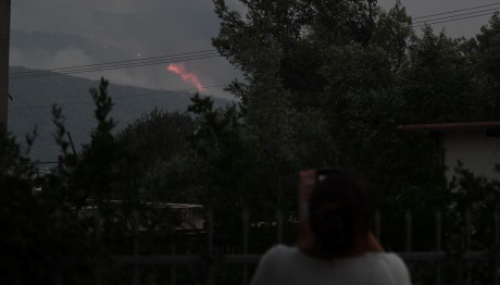 Βασίλης Κικίλιας