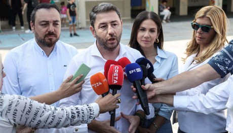 Νίκος Ανδρουλάκης