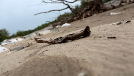 Ξηρασία Στην Ελλάδα - Περιοχές Που Θα Ερημοποιηθούν