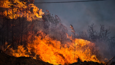 Λασίθι: Κρατούμενος Ο 35χρονος Για Τη Φωτιά