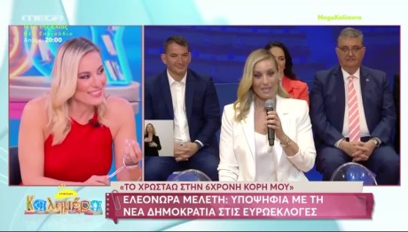 Μελέτη: Γιατί είπε το «ναι» στην πρόταση Μητσοτάκη για τις Ευρωεκλογές