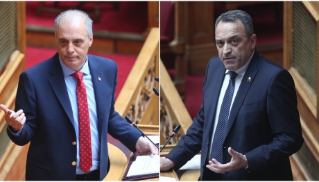 Ξύλο Στη Βουλή: Η Αντίδραση Βελόπουλου - Στίγγα