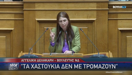 Δεληκάρη Βουλή