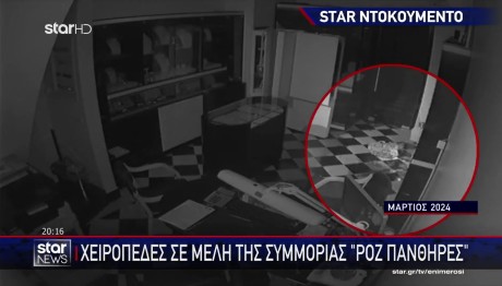 Ροζ Πάνθηρες