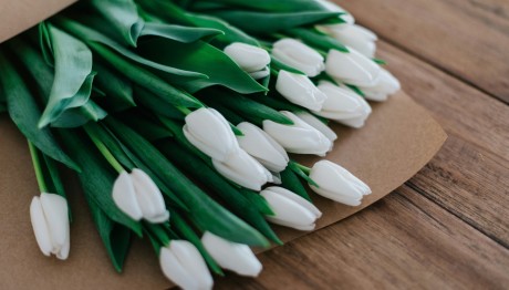 Εορτολόγιο