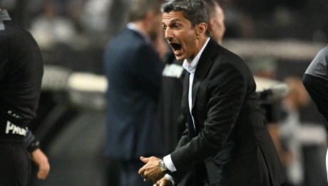 Ραζβάν Λουτσέσκου: Ποιον «εξαφάνισε»