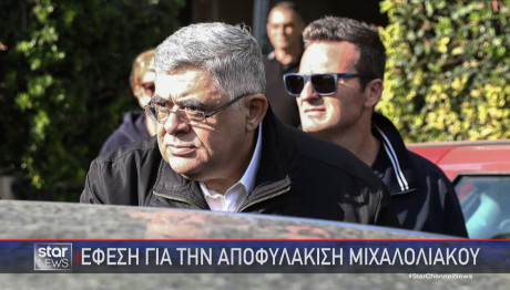 Νίκος Μιχαλολιάκος