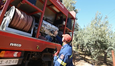 Φωτιά Στην Αργολίδα
