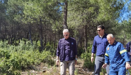 Βασίλης Κικίλιας αυτοψία