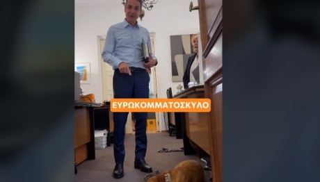 Μητσοτάκης TikTok Πίνατ