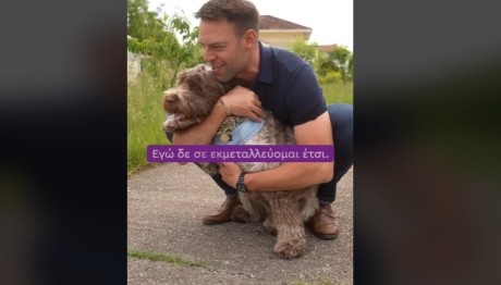 Κασσελάκης Φάρλι TikTok