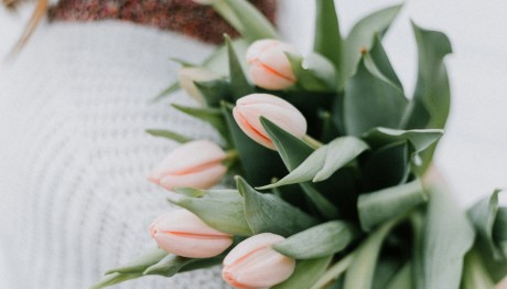 Εορτολόγιο