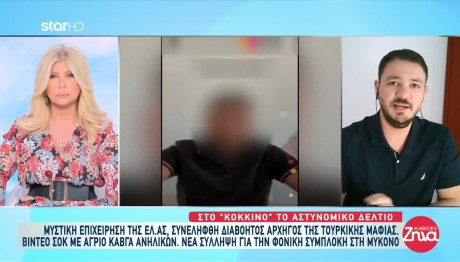 Συνελήφθη Αρχηγός Της Τουρκικής Μαφίας