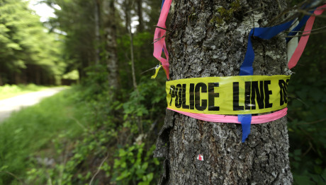 Ελβετία: Νεκρή Στο Δάσος Βρέθηκε 6χρονη Που Είχε Εξαφανιστεί