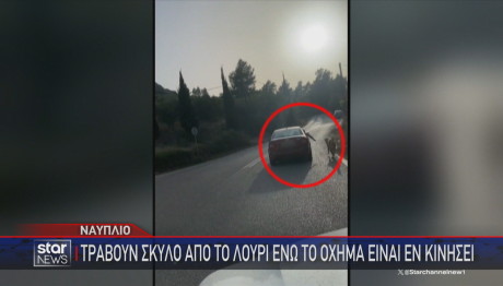 Ναύπλιο: Τραβούσαν σκύλο από το λουρί δίπλα σε αυτοκίνητο εν κινήσει