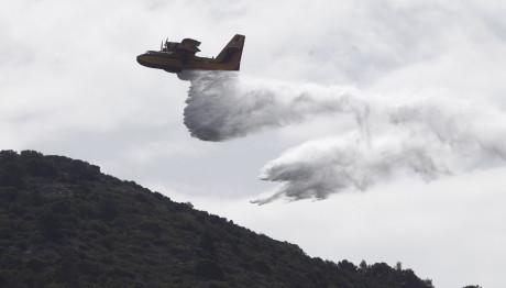 Λακωνία: Φωτιά Σε Δασική Έκταση