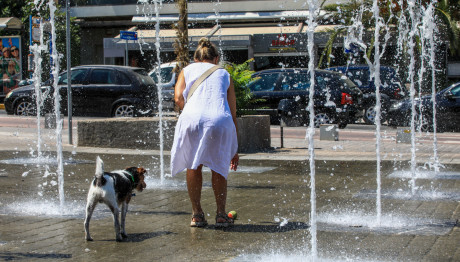 Καιρός: Φέτος Το Πιο Θερμό Καλοκαίρι Των Τελευταίων Ετών