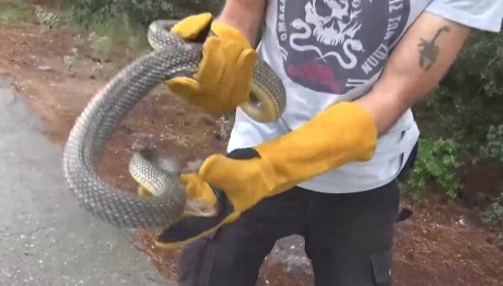 Θεσσαλονίκη