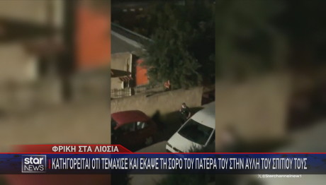 Λιόσια video